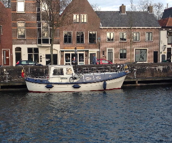 PijlstaartProfielBlauw